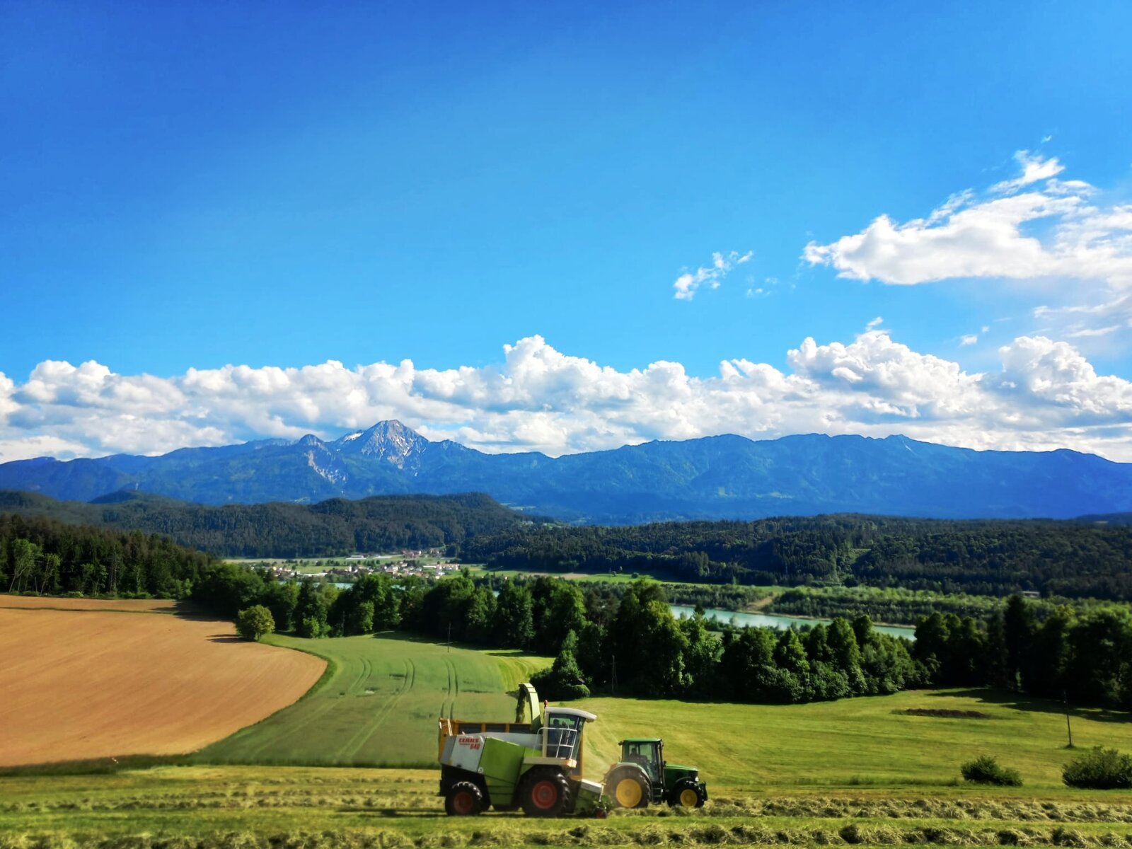Claas Jaguar Feldhäcksler und Traktor bei der Grasernte auf einer Anhöhe vor Kärntner Bergpanorama und Flusslandschaft