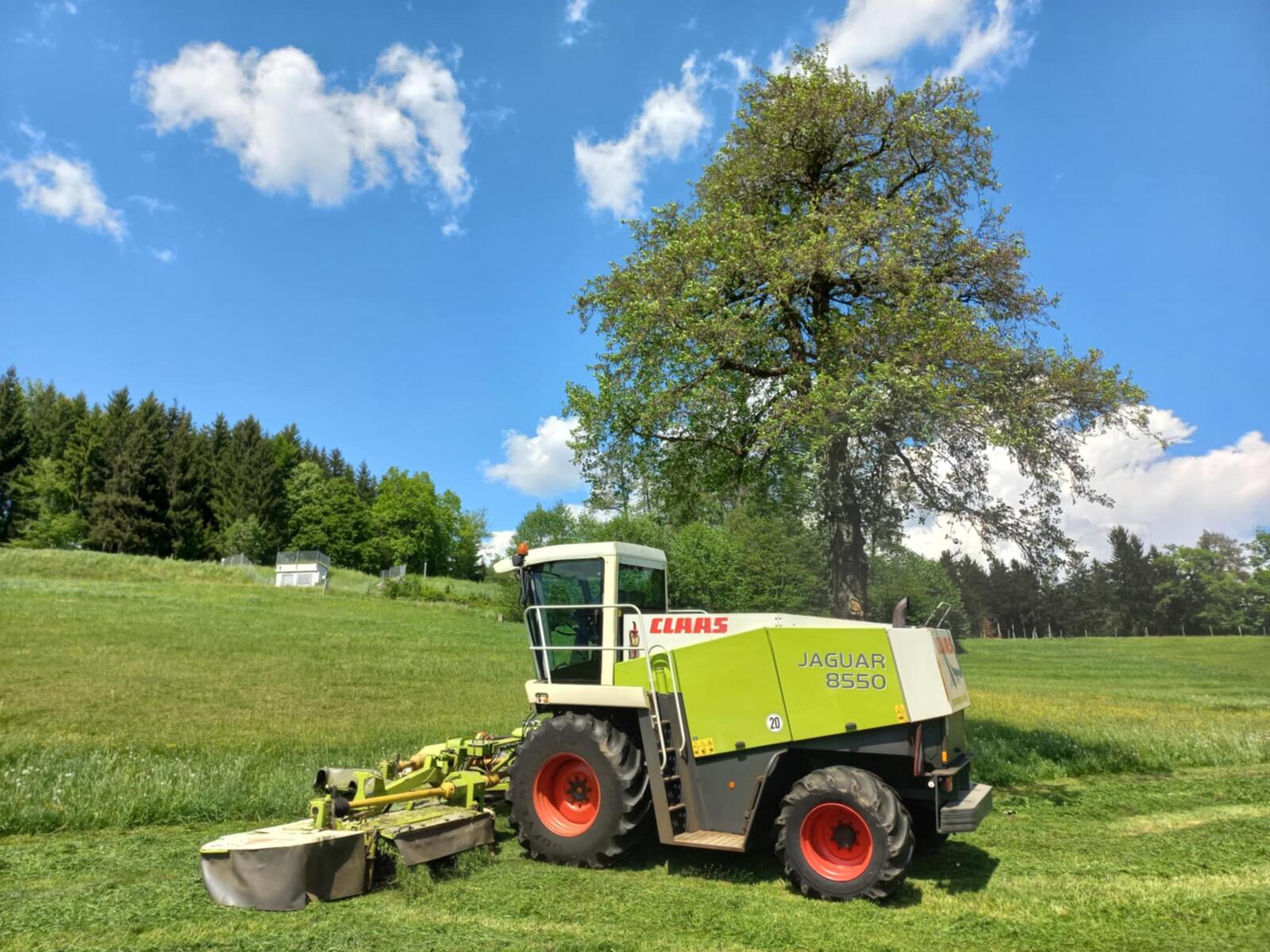 Claas Jaguar 8550 mit Mähwerk auf sonniger Wiese unter altem Baum, im Hintergrund der Wald