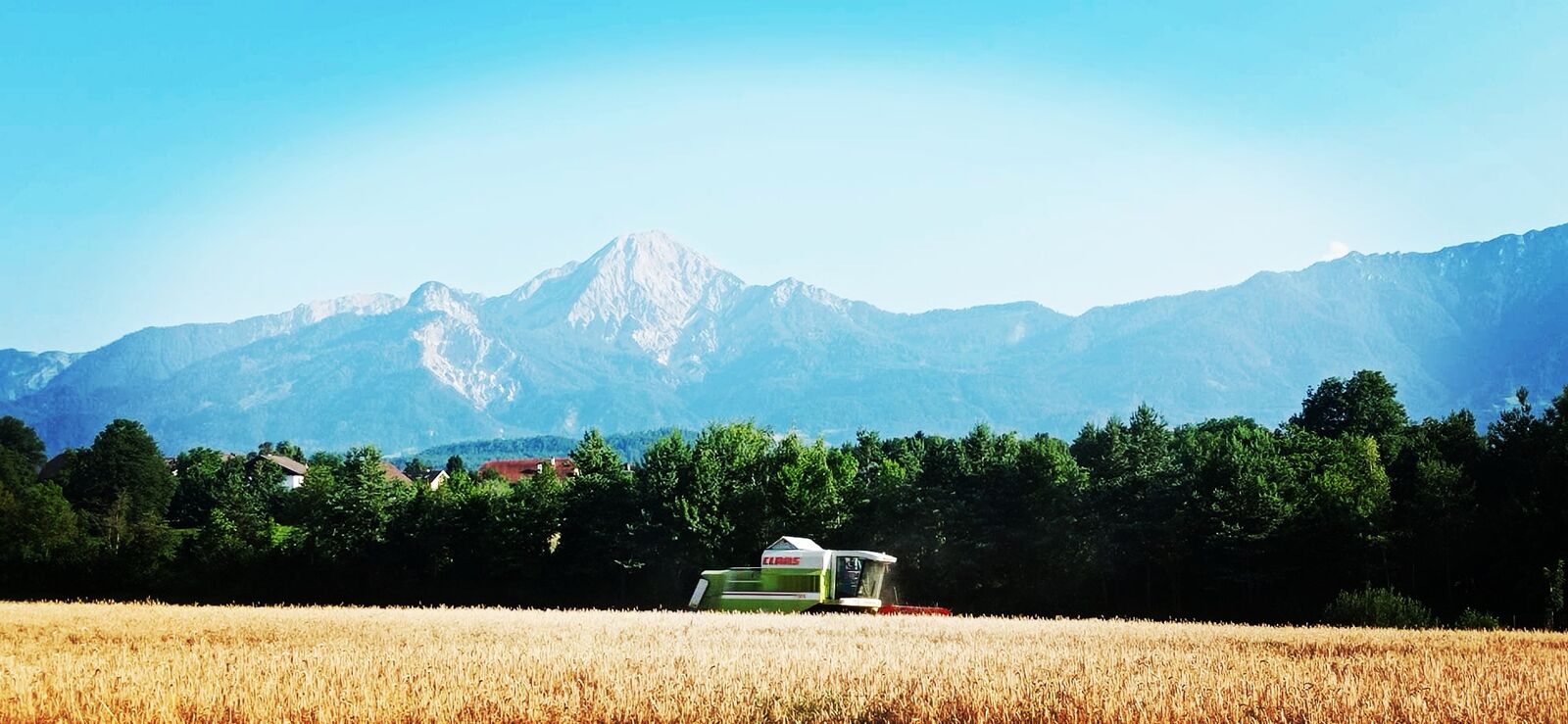 Claas Mähdrescher bei der Getreideernte auf einem Kornfeld vor Ortschaft und der Bergkette der Karawanken in Kärnten
