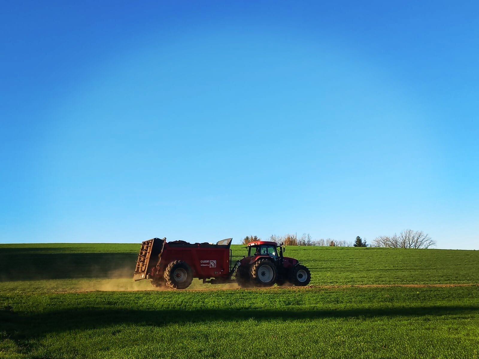 Case Traktor mit Miststreuer verteilt Wirtschaftsdünger auf der Wiese, Staubfahne im Gegenlicht vor blauem Himmel
