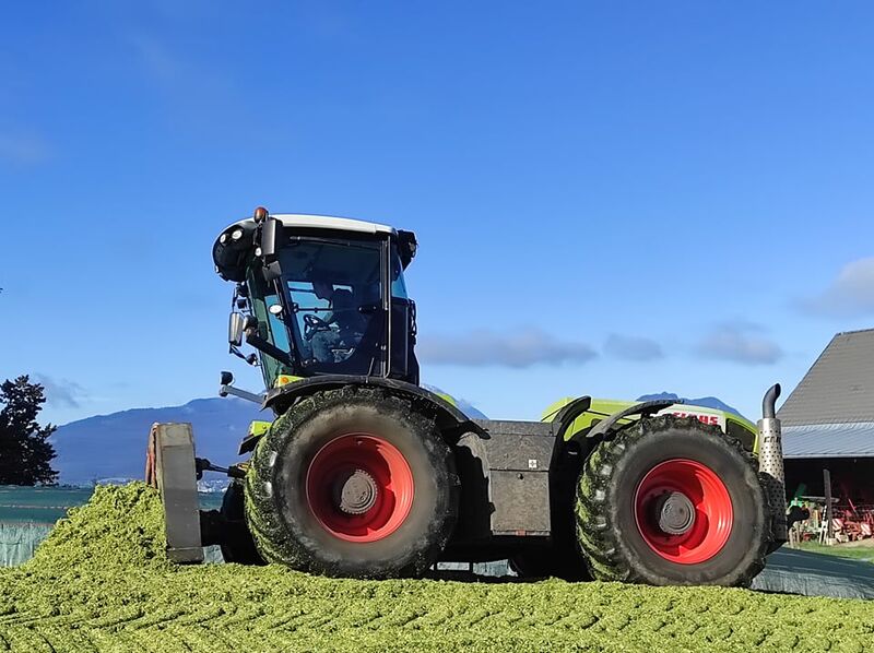 Claas Traktor verdichtet Grassilage auf dem Fahrsilo vor Bauernhof und Kärntner Bergpanorama